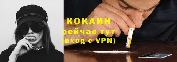 дмт Нягань