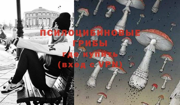 дмт Нягань