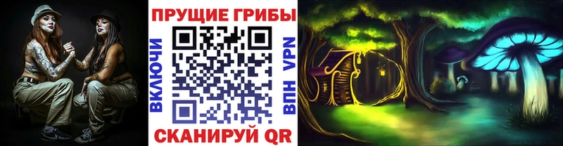 Галлюциногенные грибы Psilocybine cubensis  МЕГА онион  Сертолово  наркота 